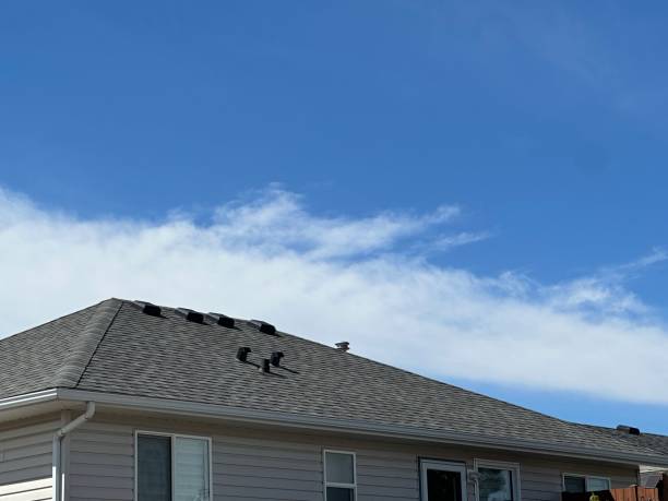 Best Roof Leak Repair  in Ballinger, TX